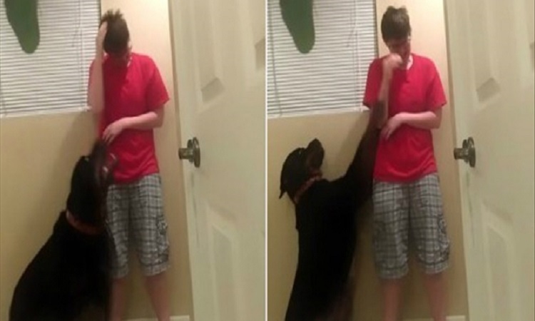 Δείτε με ποιο τρόπο ένας σκύλος προστατεύει μια γυναίκα από κρίσεις πανικού (Βίντεο)